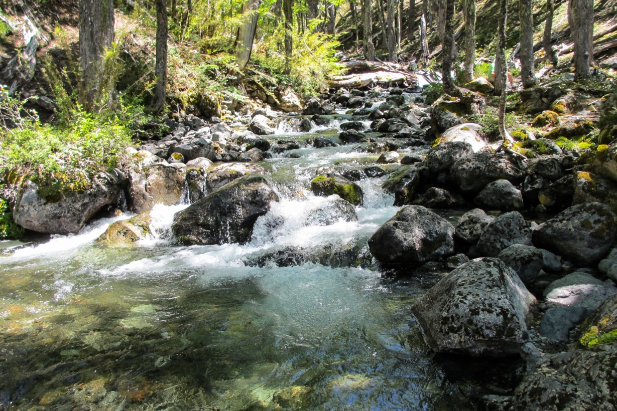 photo trekking in El Bolson